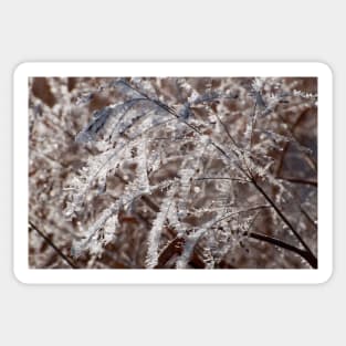 Winter Grassland Sticker